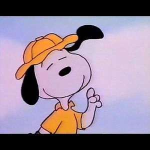 Meet your Posher, Jordan